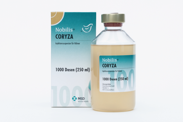 Nobilis® Coryza