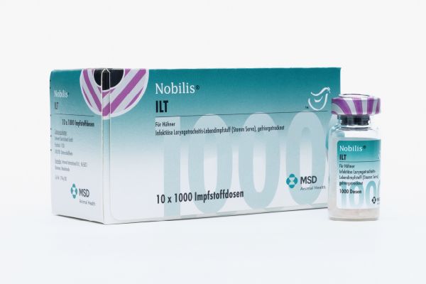 Nobilis® ILT
