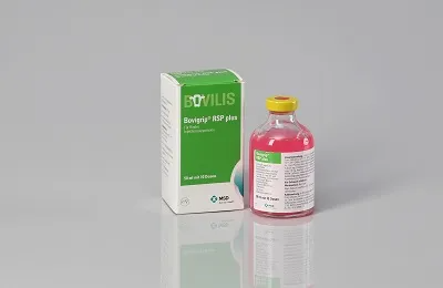 BOVILIS® Bovipast RSP