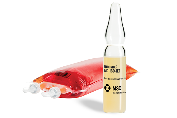 Innovax-ND-IBD-ILT