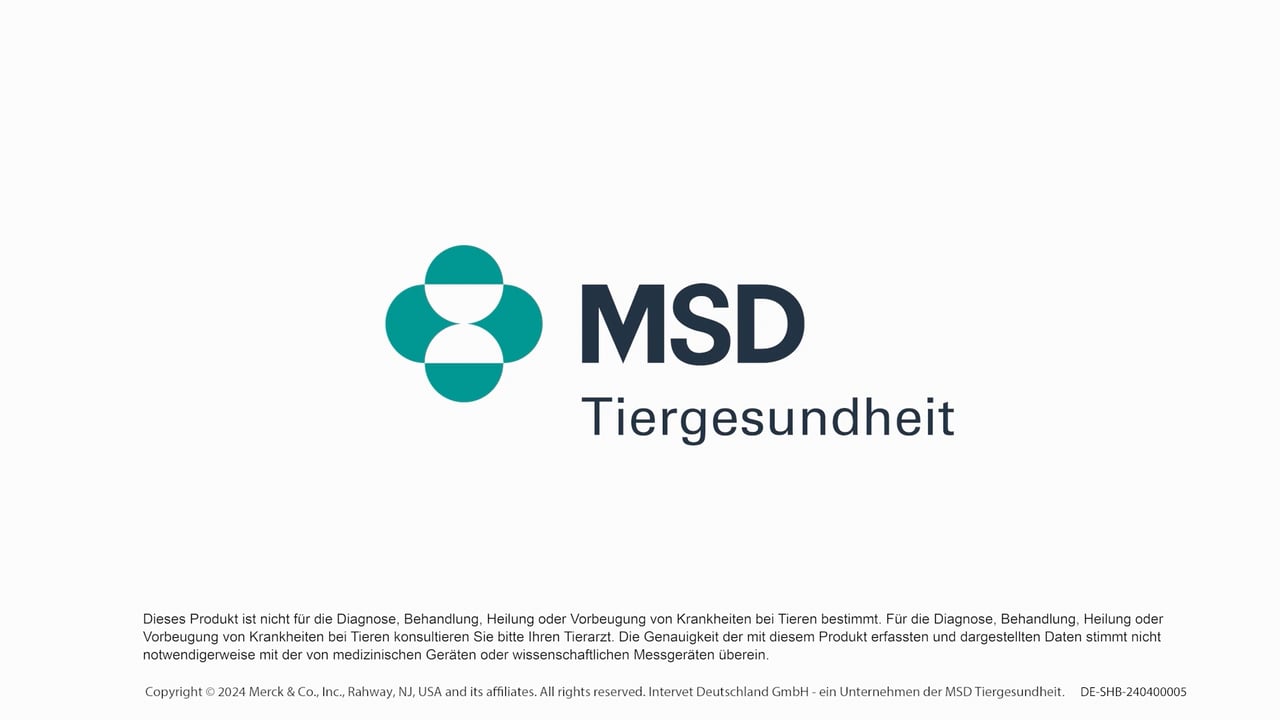 Umstellung auf die elektronische Rechnung