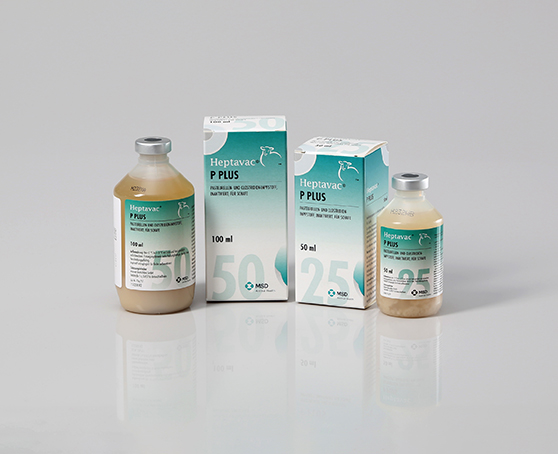 076275 & 026787_Heptavac_PPlus Heptavac P Plus - 2 Handelsformen