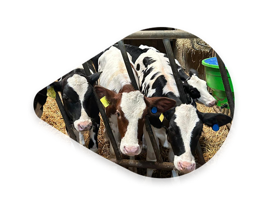 Sensehub Farminar