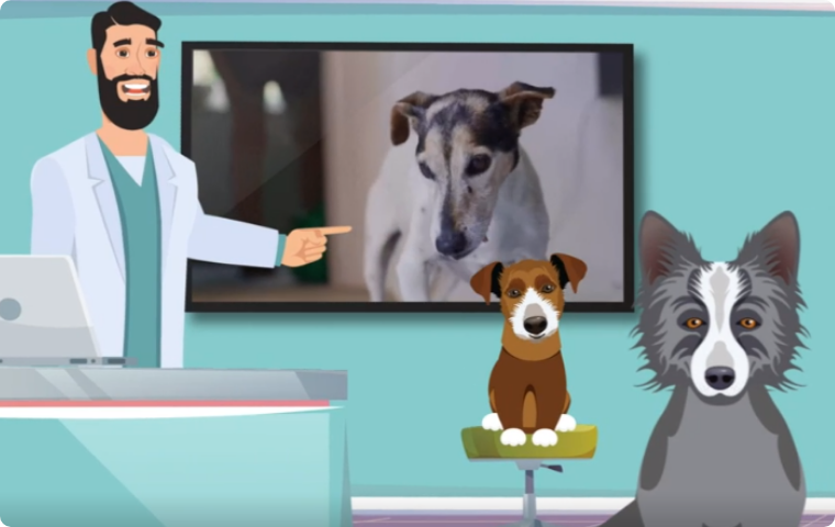 Video-Tipps
