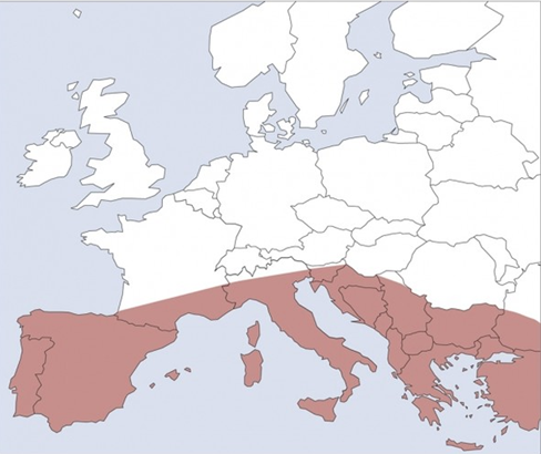 Südeuropa Karte Karte von Europa mit markiertem Südeuropa in Rot.