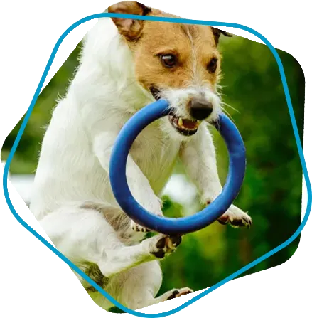 29af03cc0a76384cefbc9352320bb9254b4c9f43