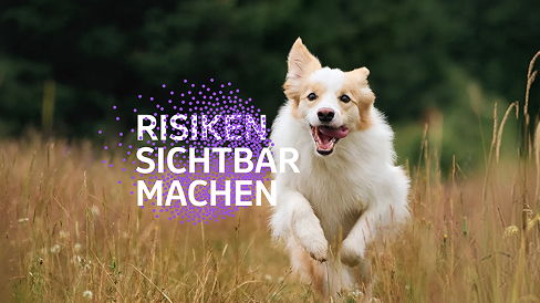 Wir helfen, Hunde zu schützen, die wir lieben.