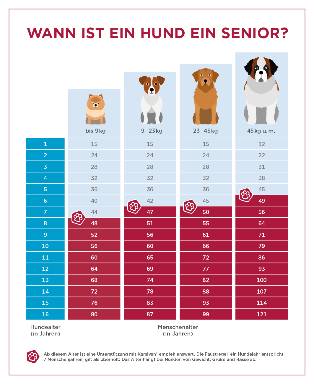 Wann ist ein Hund ein Senior? Diagramm zum Vergleich von Hundealter und Menschenjahren nach Gewichtsklassen.