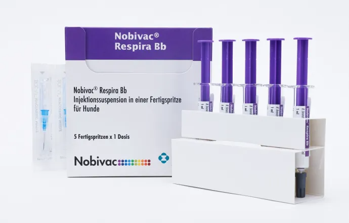 Nobivac Respira Bb Hundevakzin Nobivac Respira Bb Impfstoff mit fünf vorgefüllten Spritzen für Hunde.
