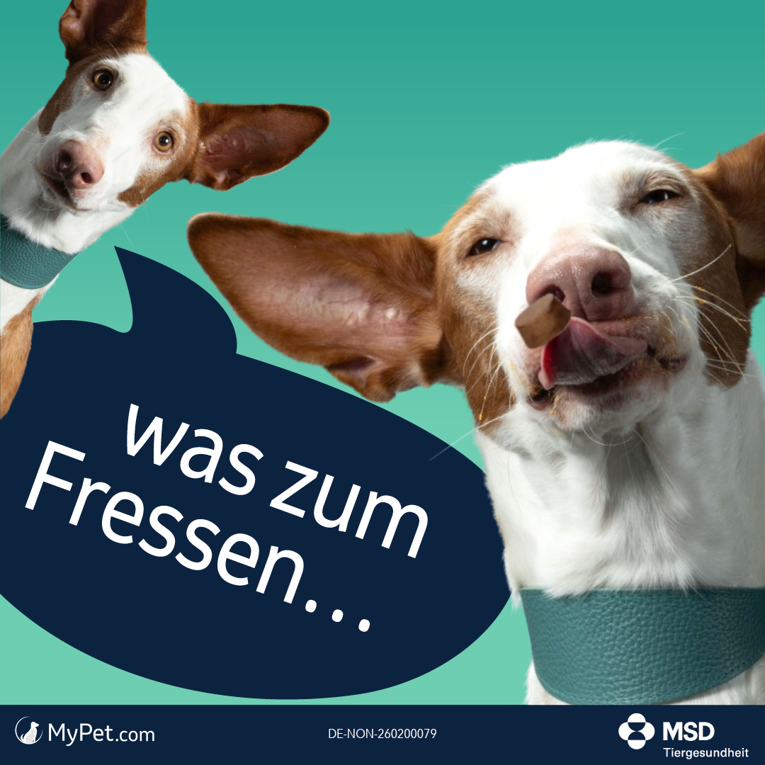 was zum Fressen…