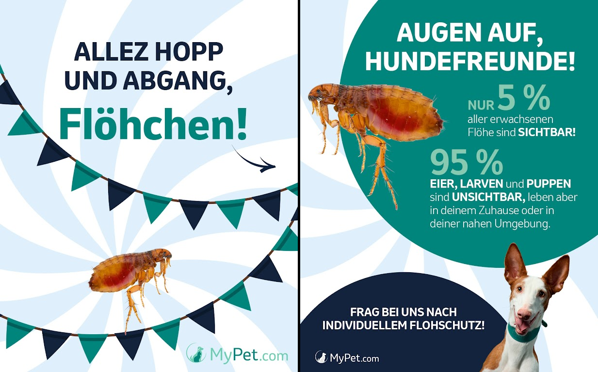 Cover_Floehchen_v2