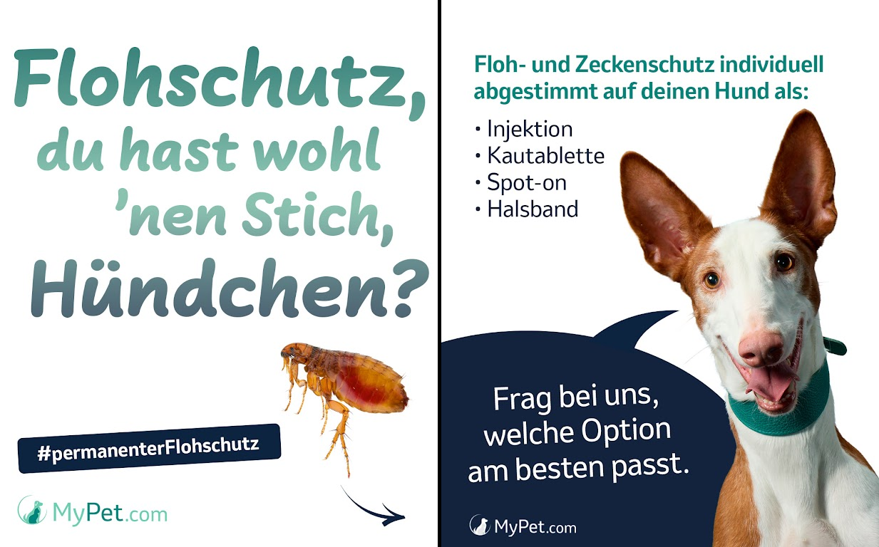 Cover_Flohschutz
