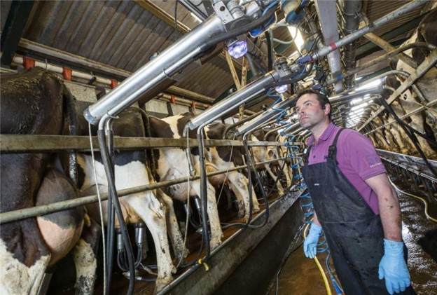 Melkstand mit Milkmonitoring