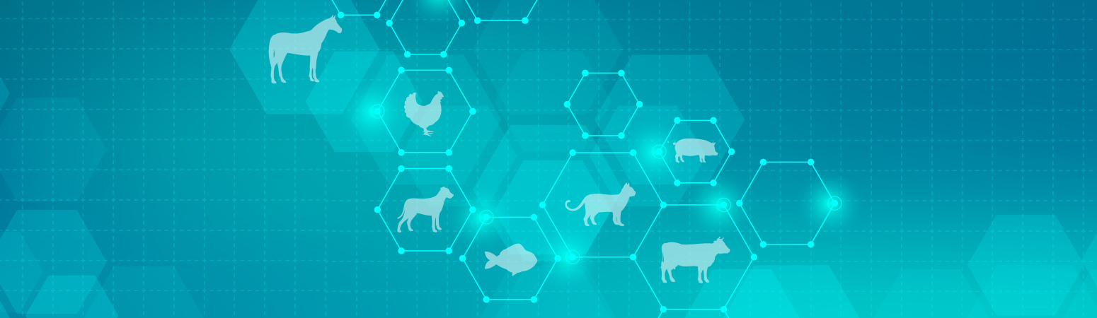 Produkte - MSD Tiergesundheit Deutschland