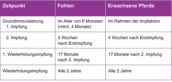 Influenza Impfung Pferd Grundimmunisierung