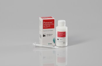 giardien katze behandlung panacur)