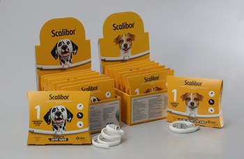 projektor ost Sophie Scalibor® Protectorband - MSD Tiergesundheit Deutschland