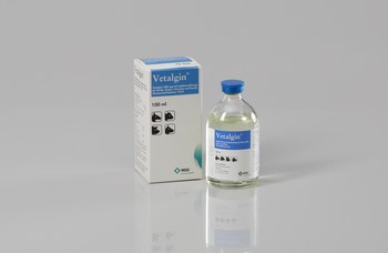 grøntsager snesevis Smitsom sygdom Vetalgin® 500 mg/ml - MSD Tiergesundheit Deutschland