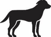 Silhouette eines Hundes
